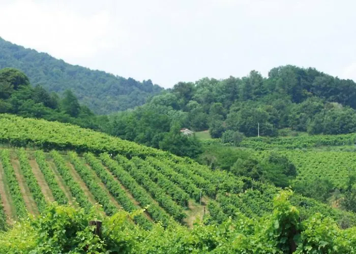 I 4 Elementi Crespano del Grappa