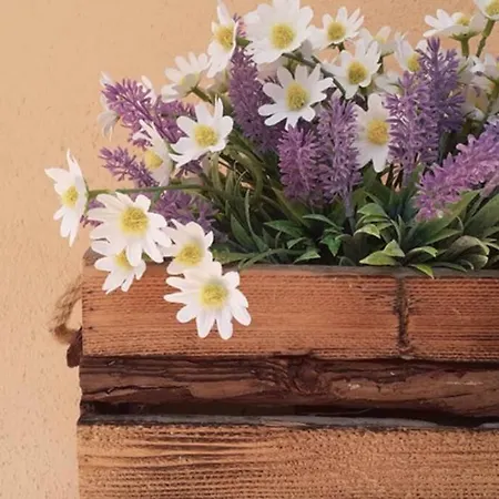 I 4 Elementi Apartment *